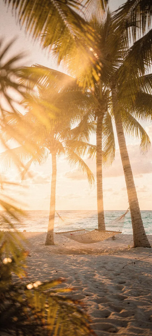 Golden Hour Beach Hammock