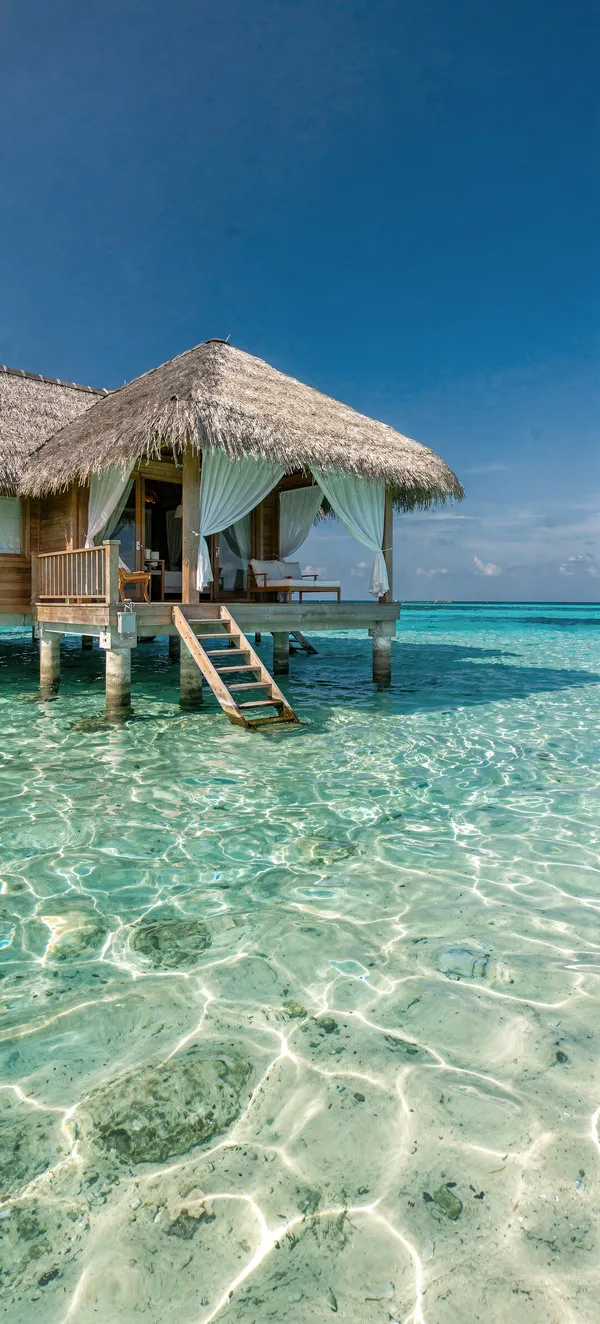 Tropical Maldives Bungalow