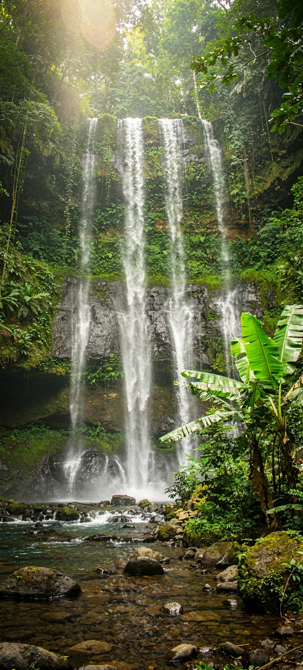 Sekumpul Waterfall Jungle
