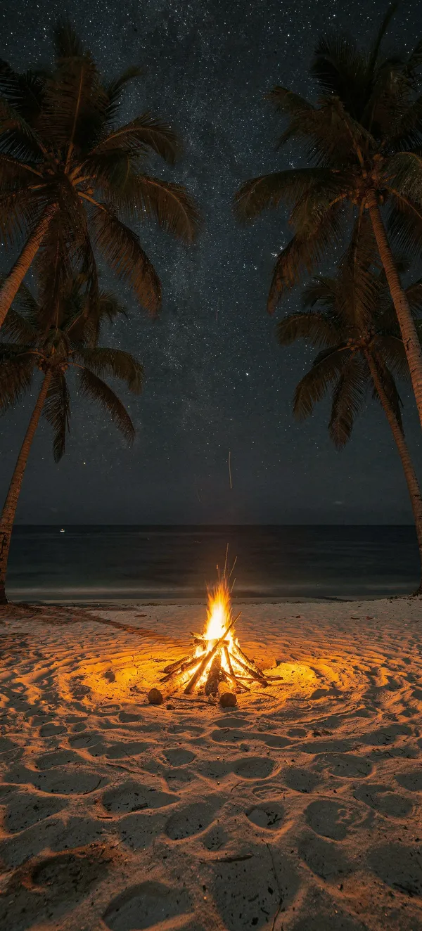 Tropical Beach Night Bonfire