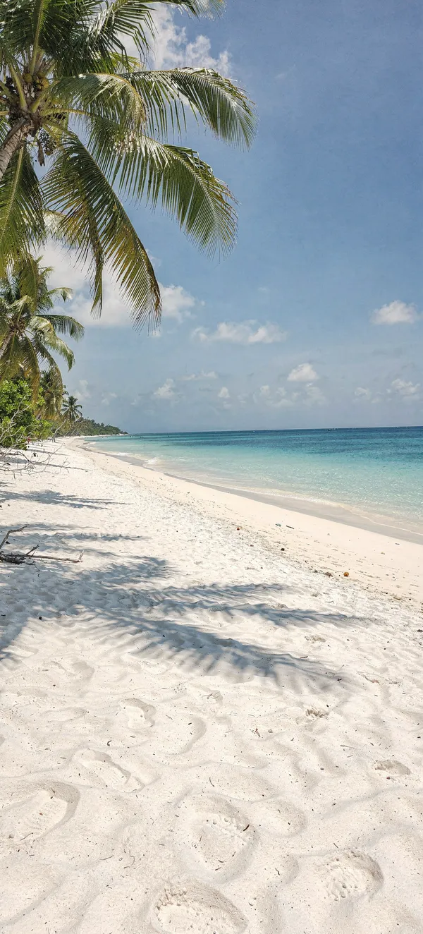 Tropical Paradise Beach