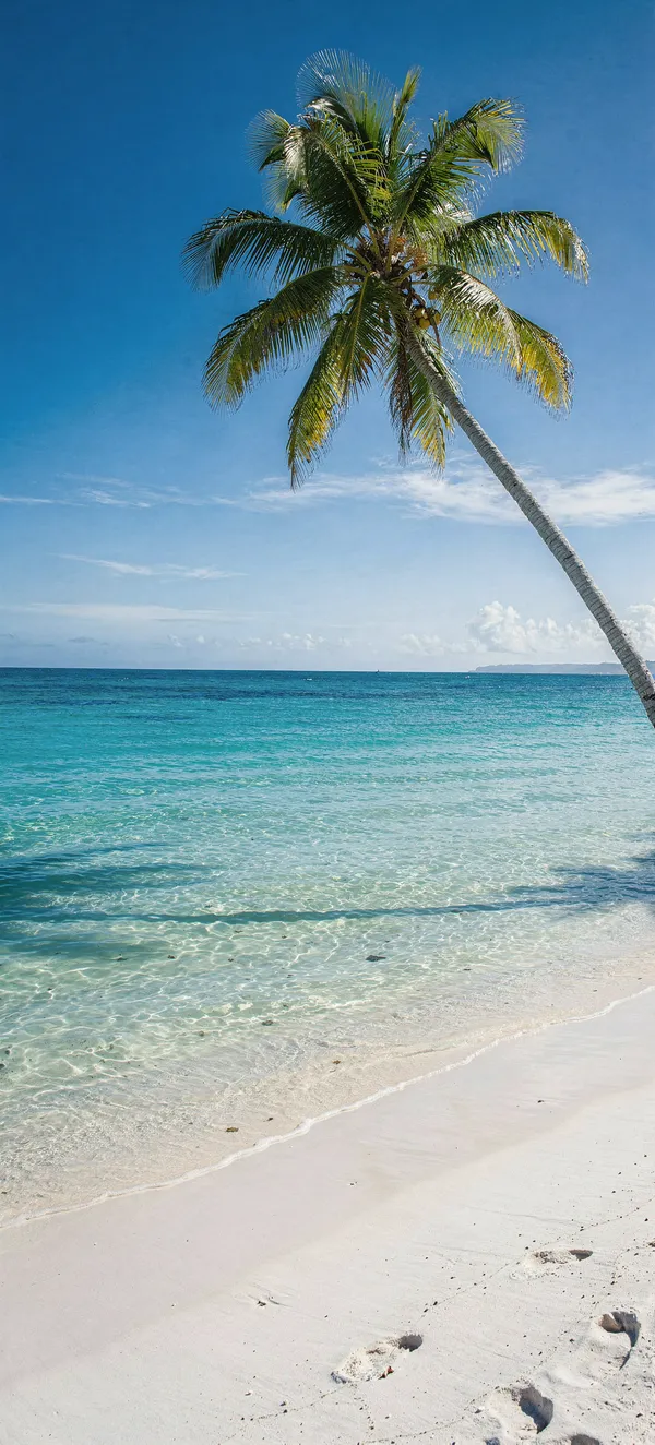 Leaning Palm Tree Paradise