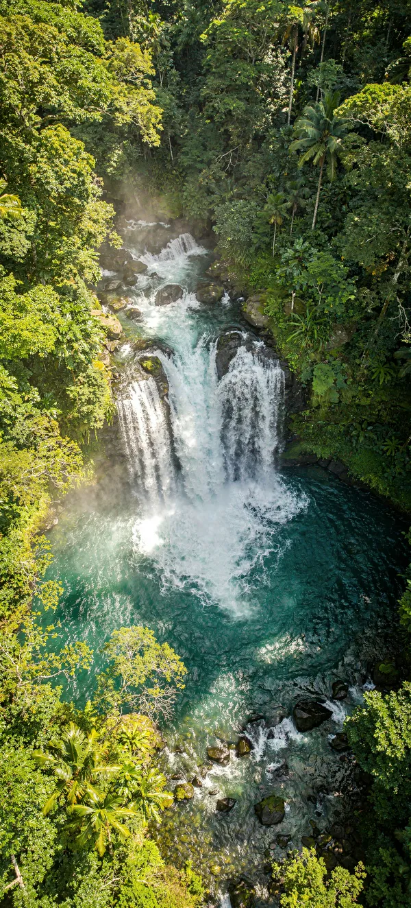 Tropical Waterfall Paradise