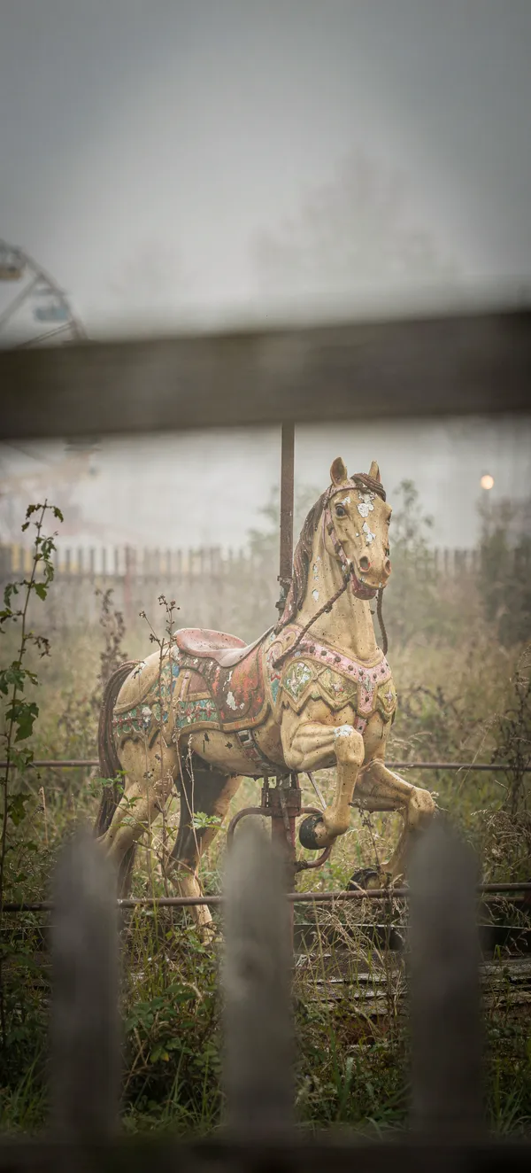 Abandoned Carousel Horse — Home screen